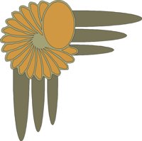 CRNRC349.CMX