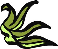 CRNRC336.CMX