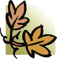 CRNRC256.CMX