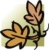 CRNRC255.CMX