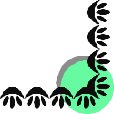 CRNRC135.CMX