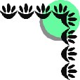 CRNRC134.CMX