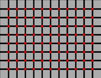 BCKLC011.CMX