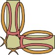 RAHMN222.WMF