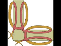 RAHMN222.BMP