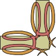 RAHMN221.WMF