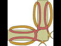 RAHMN221.BMP
