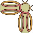 RAHMN220.WMF