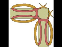 RAHMN220.BMP