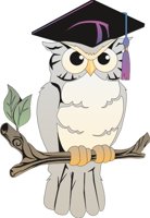 WISEOWL.CMX