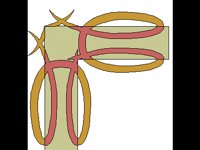 RAHMN219.BMP