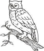 OWL4.CMX
