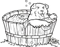 DOG_BATH.CMX