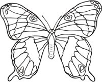 BUTTRFLY.CMX