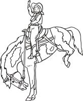 BRONC2.CMX