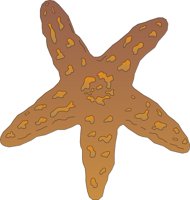 STARFSH4.CMX