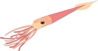 SQUID.CMX
