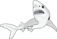 SHARK4.CMX