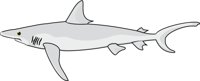 SHARK3.CMX