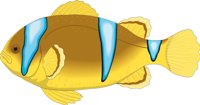 CLOWNFIS.CMX