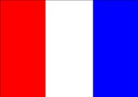 NFLAG_T.CMX