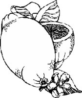 FRUIT045.CMX
