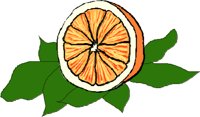 FRUIT041.CMX