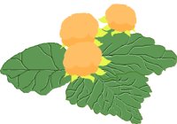 FRUIT038.CMX