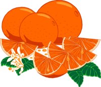 FRUIT012.CMX