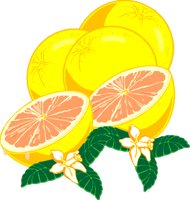 FRUIT004.CMX