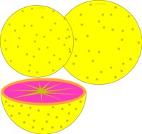 FRUIT003.CMX