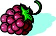 FOOD075.CMX