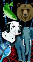 ANIMALS.BMP