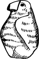 OBOB0195.CMX