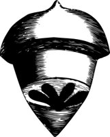 OBOB0085.CMX