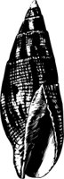 OBOB0084.CMX