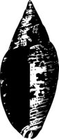 OBOB0083.CMX