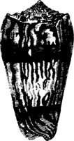 OBOB0081.CMX