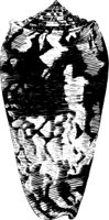 OBOB0080.CMX