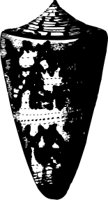 OBOB0079.CMX