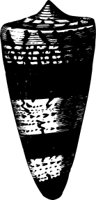 OBOB0078.CMX