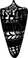 OBOB0077.CMX