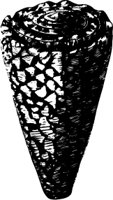 OBOB0076.CMX