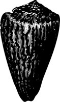 OBOB0075.CMX