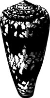 OBOB0074.CMX