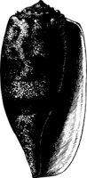 OBOB0073.CMX
