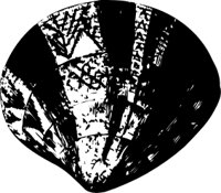 OBOB0066.CMX