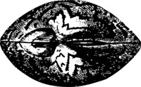 OBOB0065.CMX