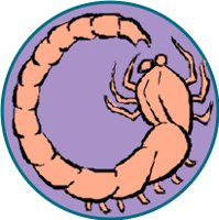 ZODIC126.CMX
