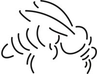 WASP_I.CMX
